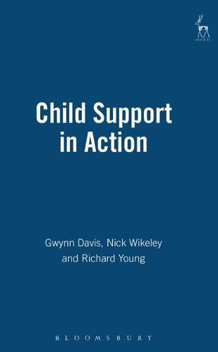 Бумажная книга «Child Support in Action», авторов Гвинн Дэвис, Николас Викели, Ричард Янг - фото №1