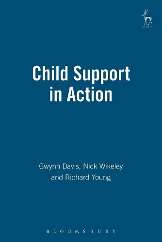 Бумажная книга «Child Support in Action», авторов Гвинн Дэвис, Николас Викели, Ричард Янг - фото №1