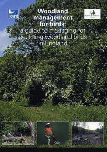 Паперова книга «Woodland Management for Birds: A Guide to Managing for Declining Woodland Birds in England», авторів Ф. Каррі, Н. Саймс - фото №1