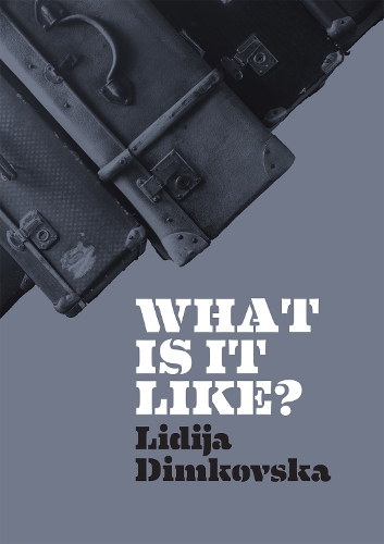 Паперова книга «What Is It Like?», автор Лідія Димковська - фото №1