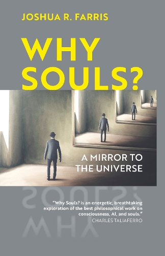 Паперова книга «Why Souls?: A Mirror to the Universe», автор Джошуа Р. Фарріс - фото №1