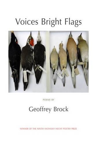 Бумажная книга «Voices Bright Flags», автор Джеффри Брок - фото №1