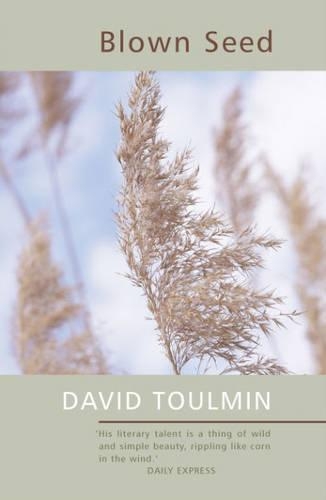 Бумажная книга «Blown Seed», автор Дэвид Тулмин - фото №1
