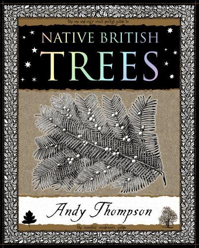 Бумажная книга «Native British Trees», автор Энди Томпсон - фото №1