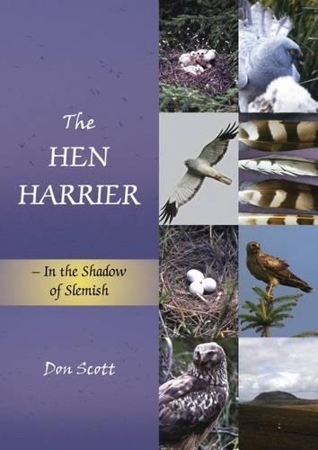 Бумажная книга «The Hen Harrier: In the Shadow of Slemish», автор Дон Скотт - фото №1