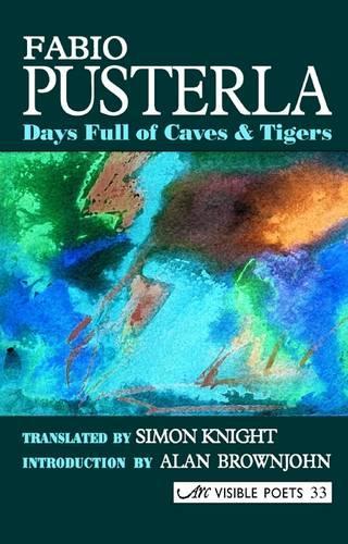 Бумажная книга «Days Full of Caves & Tigers», автор Фабио Пустерла - фото №1