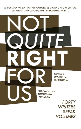 Паперова книга «Not Quite Right For Us», авторів Леоне Росс, Го Сяолу - фото №1