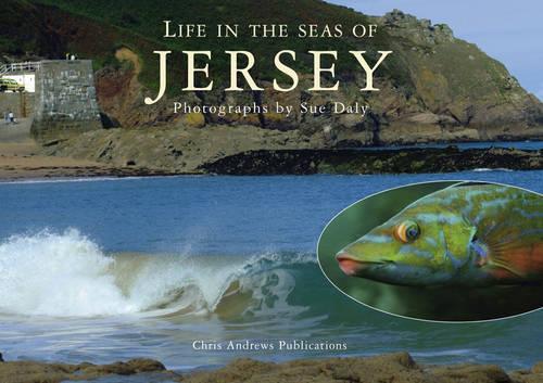 Паперова книга «Sealife in Jersey», авторів Кріс Ендрюс, Сью Дейлі - фото №1
