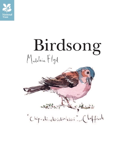 Бумажная книга «Birdsong», автор Мадлен Флойд - фото №1
