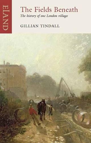 Бумажная книга «The Fields Beneath», автор Джиллиан Тиндалл - фото №1