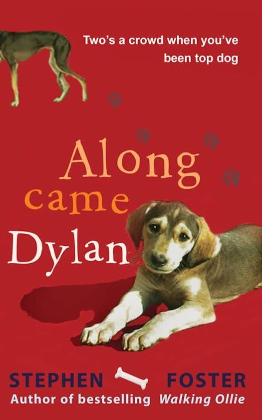 Бумажная книга «Along Came Dylan. Two's a Crowd When You've Been Top Dog», автор Стивен Фостер - фото №1