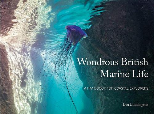 Паперова книга «Wondrous British Marine Life: A handbook for coastal explorers», автор Лу Лудінгтон - фото №1