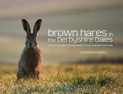 Бумажная книга «Brown Hares in the Derbyshire Dales: The Story of One of the Peak District's Most Enigmatic Mammals», автор Кристин Грегори - фото №1