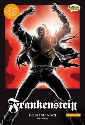 Бумажная книга «Frankenstein: Original Text», автор Мэри Воллстонкрафт Шелли - фото №1