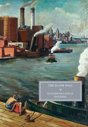 Бумажная книга «The Blank Wall», автор Элизабет Санксай Холдинг - фото №1