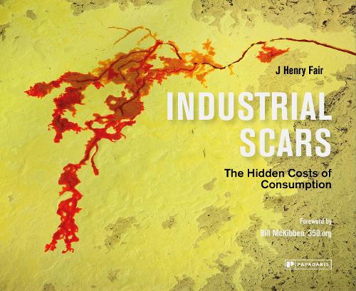 Бумажная книга «Industrial Scars: The Hidden Costs of Consumption», автор Дж. Генри Фэйр - фото №1