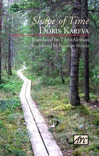 Паперова книга «Shape of Time», автор Доріс Карева - фото №1