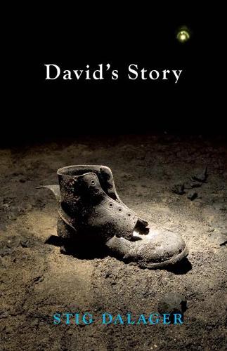 Бумажная книга «David's Story», автор Стиг Далагер - фото №1
