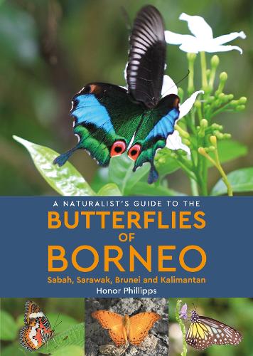 Бумажная книга «A Naturalist's Guide to the Butterflies of Borneo», автор Хонор Филлипс - фото №1