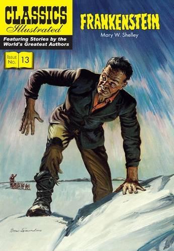 Паперова книга «Frankenstein», автор Мері Волстонкрафт Шеллі - фото №1