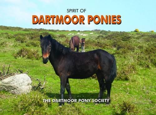 Паперова книга «Spirit of Dartmoor Ponies», автор Дартмурське товариство поні - фото №1