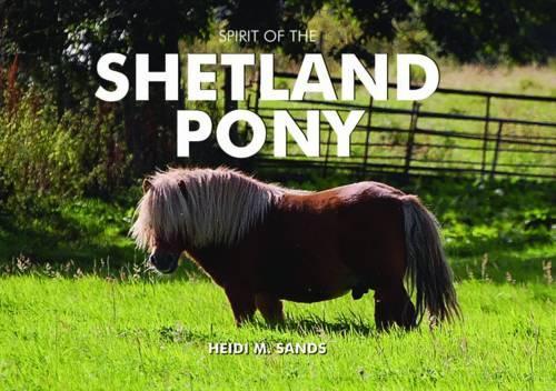 Бумажная книга «Spirit of the Shetland Pony», автор Хейди М. Сэндс - фото №1