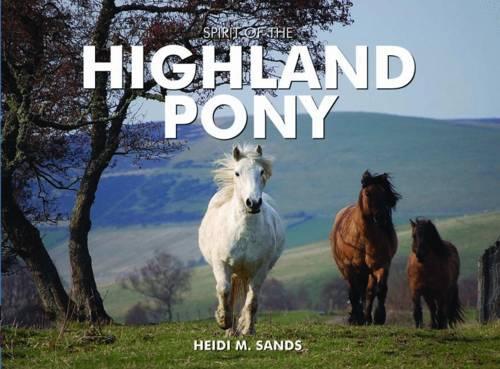 Бумажная книга «Spirit of the Highland Pony», автор Хейди М. Сэндс - фото №1
