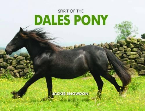 Бумажная книга «Spirit of the Dales Pony», автор Джеки Сноудон - фото №1