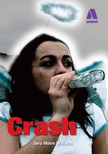 Paper book «Crash (Cymraeg)», author Sera Moore Williams - фото №1