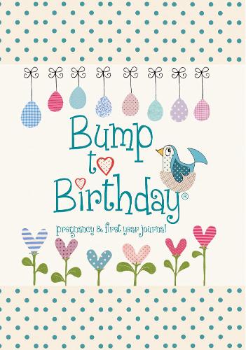 Бумажная книга «Bump to Birthday, Pregnancy & First Year Journal», авторов Helen from you to me, Стивенс - фото №1