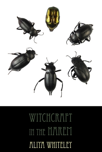 Бумажная книга «Witchcraft in the Harem», автор Алия Уайтли - фото №1