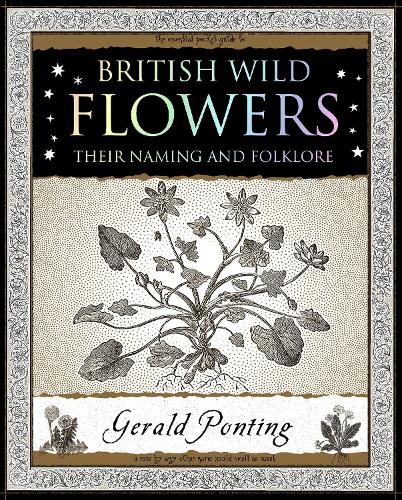 Бумажная книга «British Wild Flowers: Their Naming and Folklore», автор Джеральд Понтинг - фото №1
