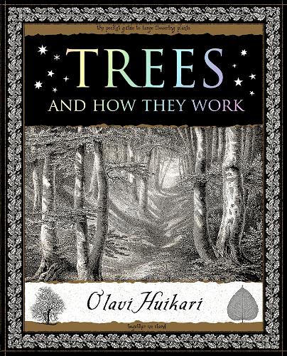Паперова книга «Trees: And How They Work», автор Олаві Хуйкарі - фото №1