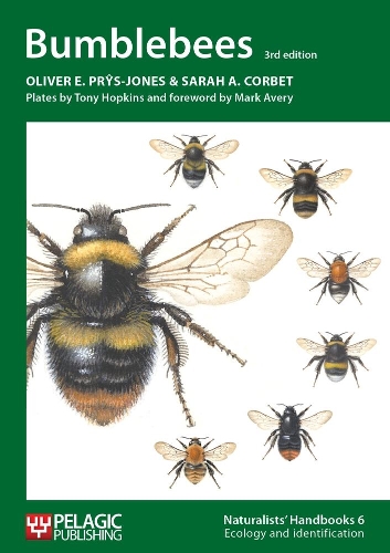 Паперова книга «Bumblebees», авторів Олівер Е. Прайс-Джонс, Сара А. Корбет - фото №1