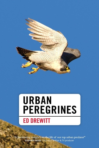 Бумажная книга «Urban Peregrines», автор Эд Дрюитт - фото №1