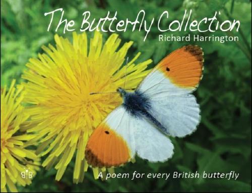 Бумажная книга «The Butterfly Collection», автор Ричард Харрингтон - фото №1