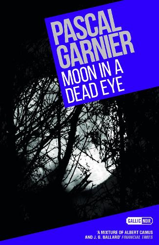 Паперова книга «Moon in a Dead Eye», автор Паскаль Гарньє - фото №1