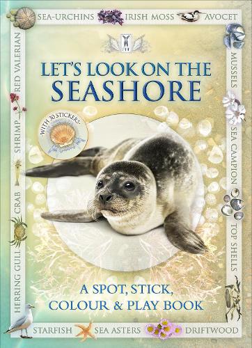 Бумажная книга «Let's Look on the Seashore», авторов Андреа Пиннингтон, Кэз Бакингем - фото №1