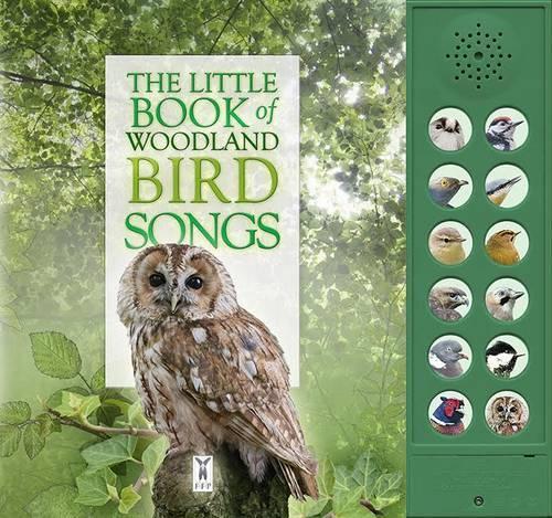 Бумажная книга «The Little Book of Woodland Bird Songs», авторов Андреа Пиннингтон, Кэз Бакингем - фото №1