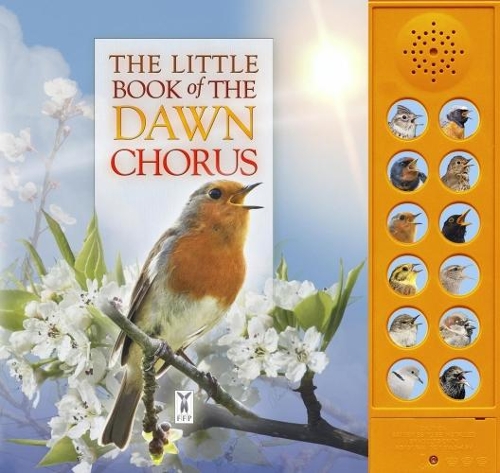 Бумажная книга «The Little Book of the Dawn Chorus», авторов Андреа Пиннингтон, Кэз Бакингем - фото №1