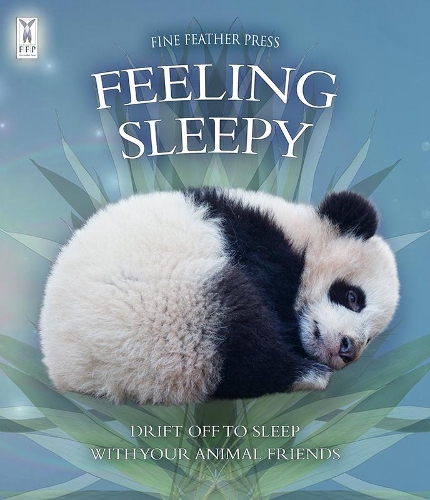 Паперова книга «Feeling Sleepy», авторів Андреа Піннінгтон, Каз Бекінгем - фото №1