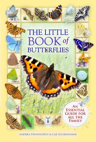Бумажная книга «The Little Book of Butterflies», авторов Андреа Пиннингтон, Кэз Бакингем - фото №1