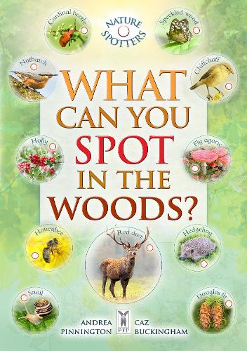 Бумажная книга «What Can You Spot in the Woods?», авторов Андреа Пиннингтон, Бен Хоар, Кэз Бакингем - фото №1