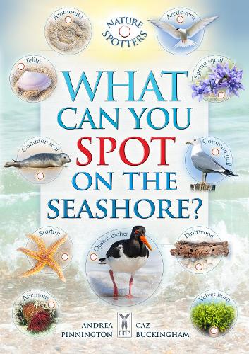 Паперова книга «What Can You Spot on the Seashore?», авторів Андреа Піннінгтон, Бен Хоар, Каз Бекінгем - фото №1