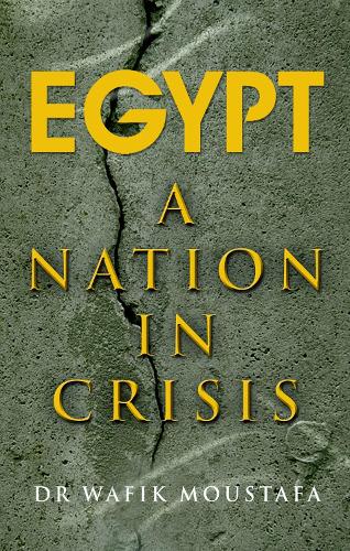 Бумажная книга «Egypt: A Nation in Crisis», автор Вафик Мустафа - фото №1