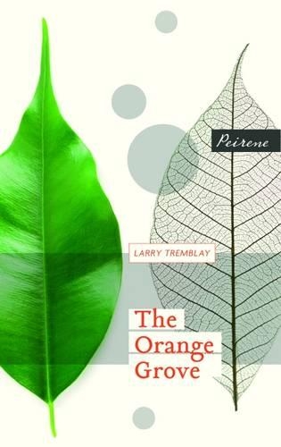 Бумажная книга «The Orange Grove», автор Ларри Тремблей - фото №1