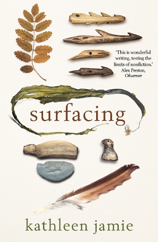 Паперова книга «Surfacing», автор Кетлін Джеймі - фото №1