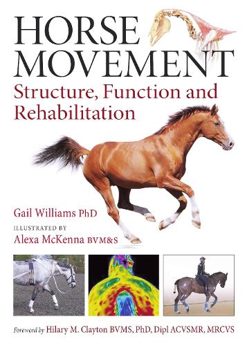 Паперова книга «Horse Movement: Structure, Function and Rehabilitation», автор Гейл Вільямс - фото №1
