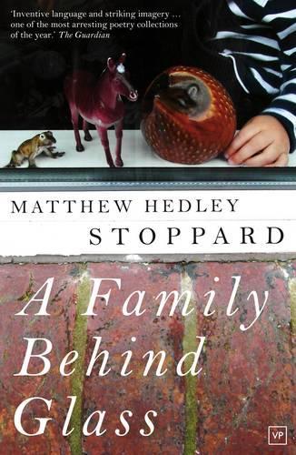 Бумажная книга «A Family Behind Glass», автор Мэтью Хедли Стоппард - фото №1