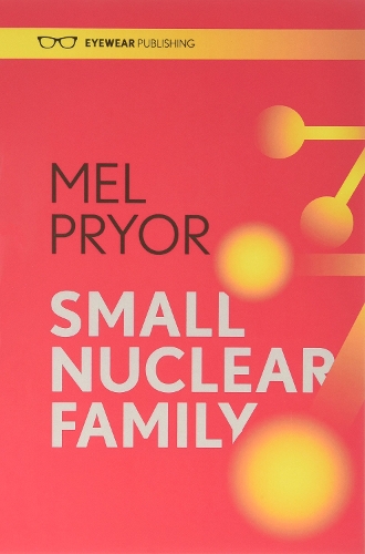 Бумажная книга «Small Nuclear Family», автор Мел Прайор - фото №1